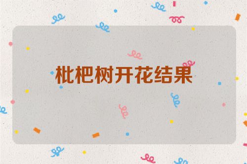 枇杷树开花结果