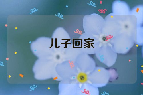 儿子回家