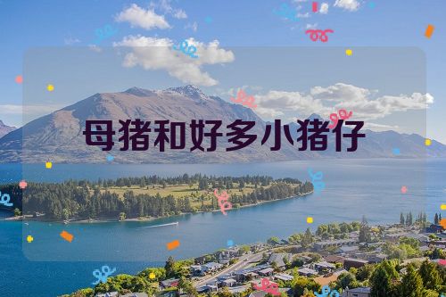 母猪和好多小猪仔