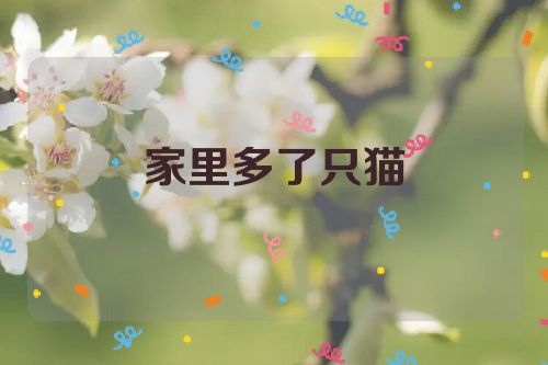 家里多了只猫