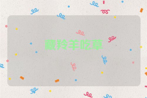 藏羚羊吃草