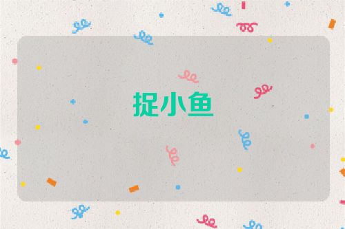 捉小鱼