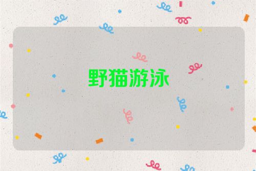 野猫游泳