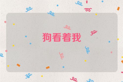 狗看着我