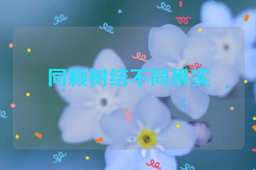 同颗树结不同果实