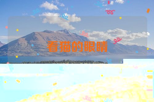 看猫的眼睛