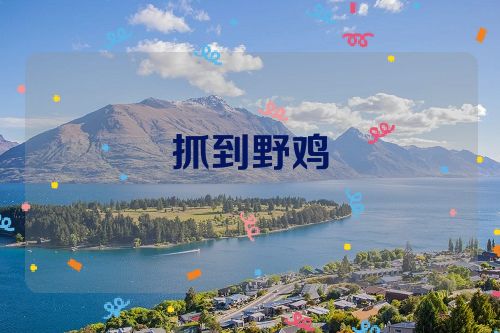 抓到野鸡