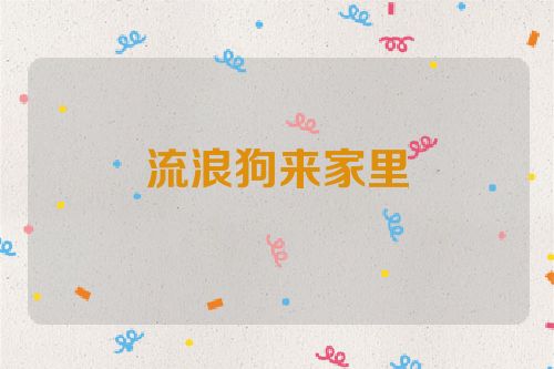 流浪狗来家里