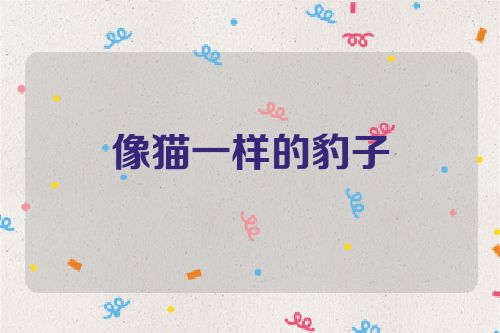 像猫一样的豹子