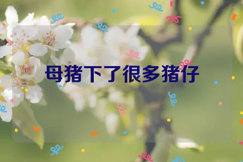 母猪下了很多猪仔