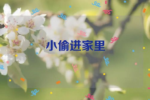 小偷进家里