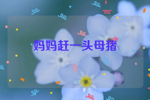 妈妈赶一头母猪