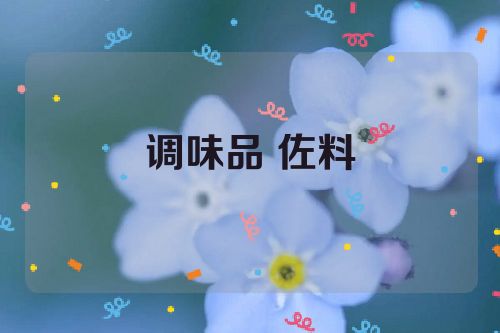 调味品 佐料