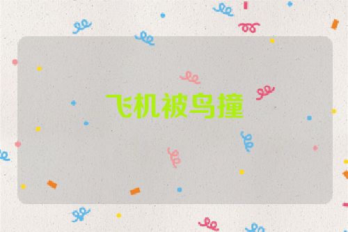 飞机被鸟撞