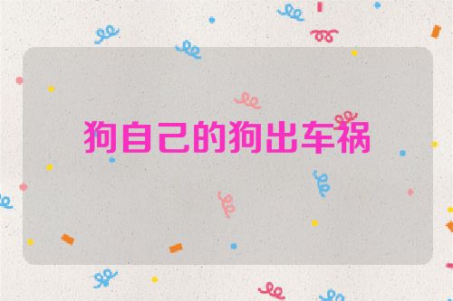 狗自己的狗出车祸