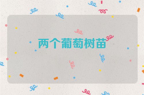 两个葡萄树苗