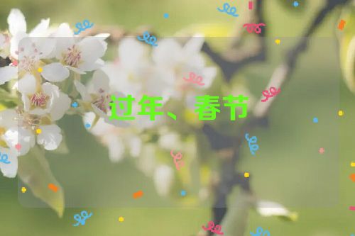 过年、春节