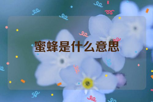 蜜蜂是什么意思