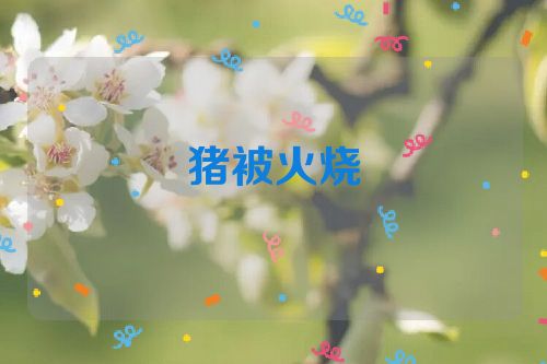 猪被火烧