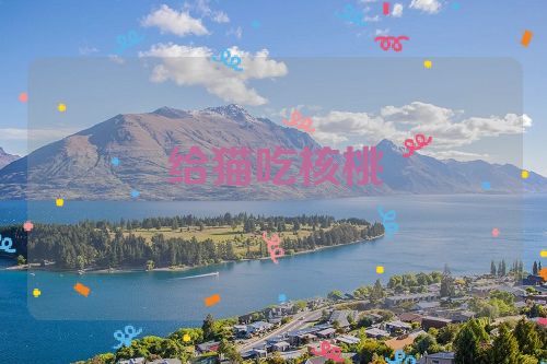 给猫吃核桃