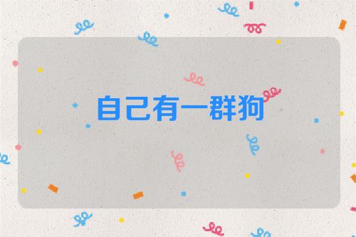 自己有一群狗