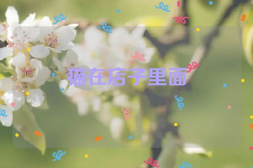 猫在店子里面