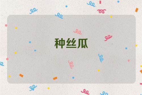 种丝瓜