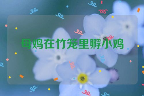 母鸡在竹笼里孵小鸡