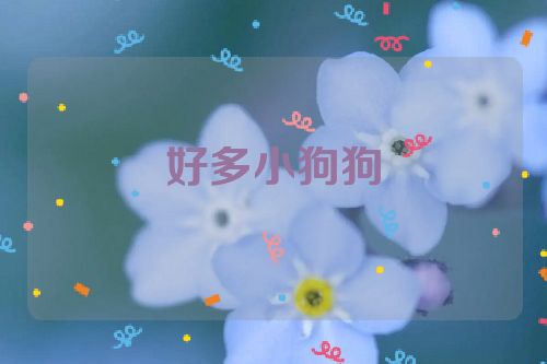 好多小狗狗