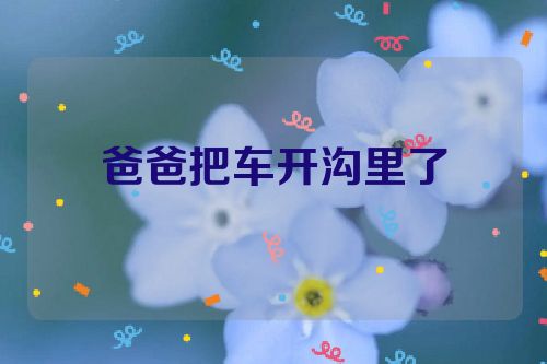 爸爸把车开沟里了