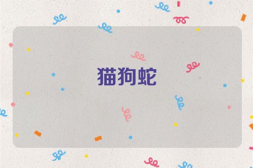 猫狗蛇