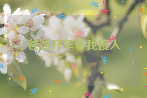 爸爸开车带我接人