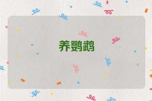 养鹦鹉