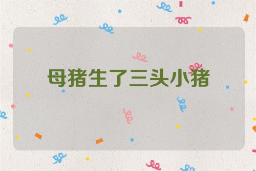 母猪生了三头小猪
