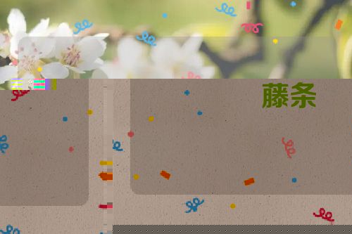 藤条
