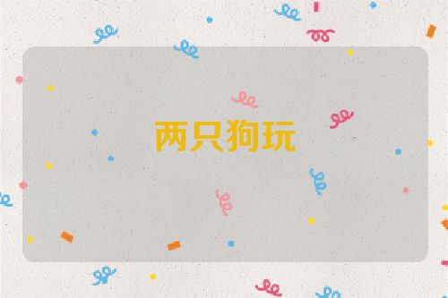 两只狗玩