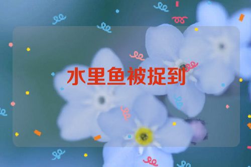 水里鱼被捉到