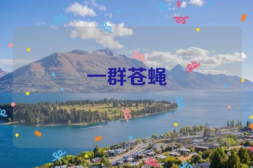 一群苍蝇