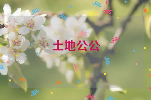 土地公公