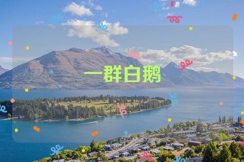 一群白鹅