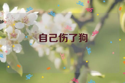 自己伤了狗