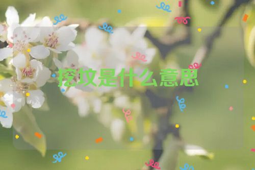 挖坟是什么意思
