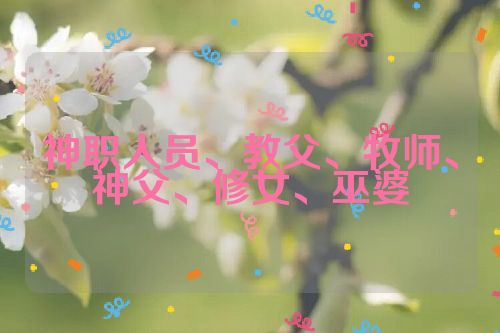神职人员、教父、牧师、神父、修女、巫婆