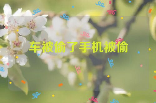 车被偷了手机被偷