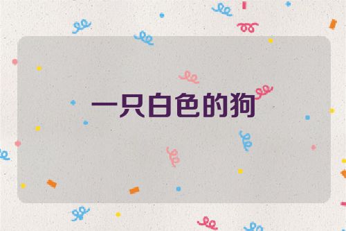 一只白色的狗