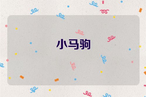 小马驹