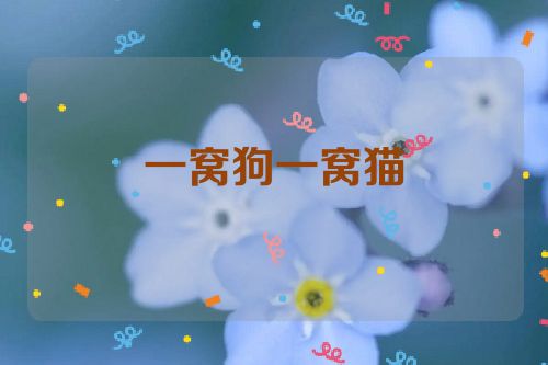 一窝狗一窝猫