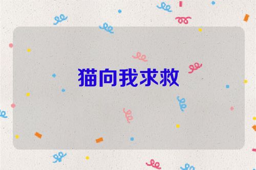 猫向我求救