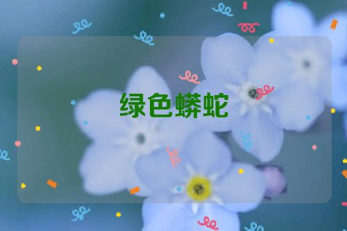 绿色蟒蛇