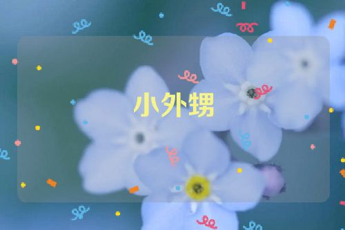 小外甥